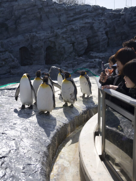 旭山動物園