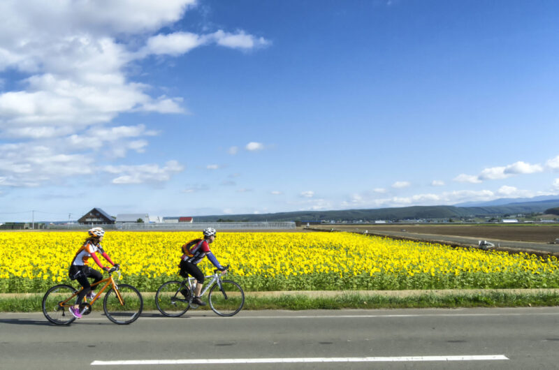 富良野　サイクリング